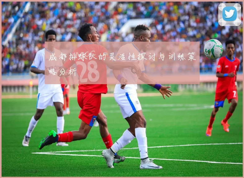 成都排球队的灵活性探讨与训练策略分析
