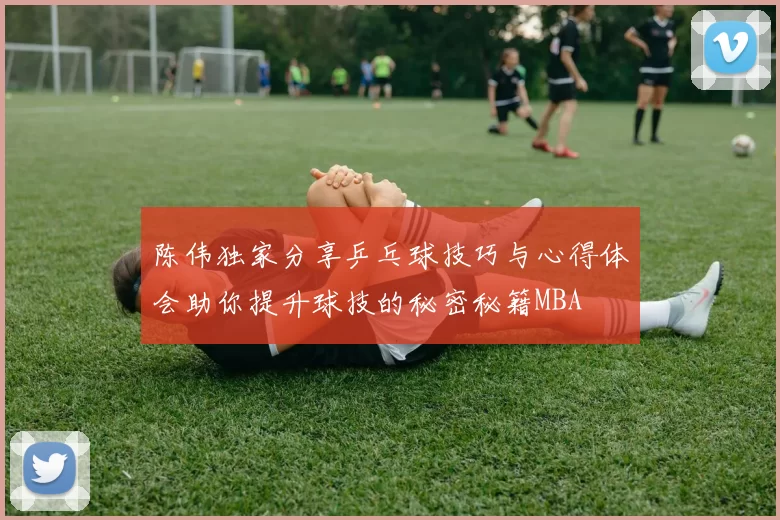 陈伟独家分享乒乓球技巧与心得体会助你提升球技的秘密秘籍MBA