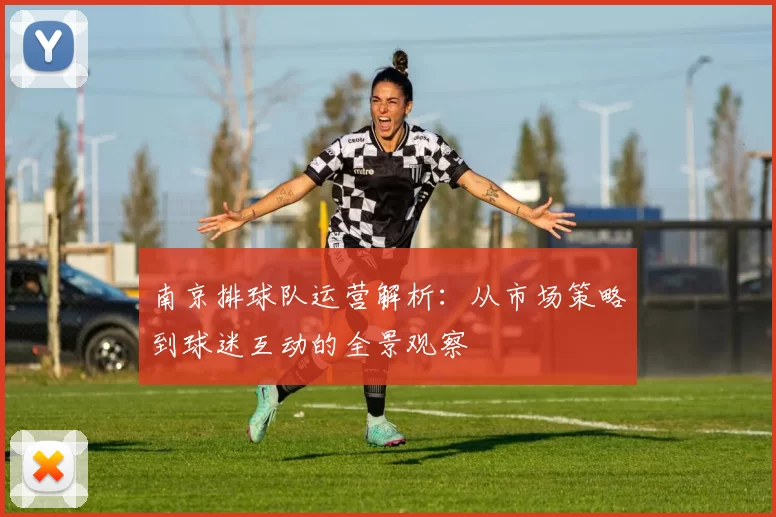 南京排球队运营解析：从市场策略到球迷互动的全景观察