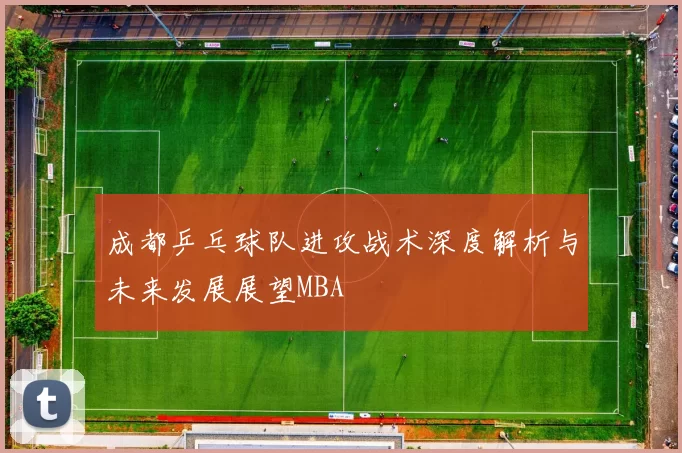 成都乒乓球队进攻战术深度解析与未来发展展望MBA